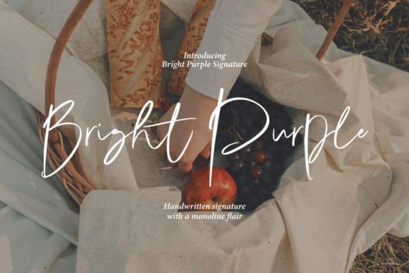 Bright Purple: A Modern Typeface for Elegant Design